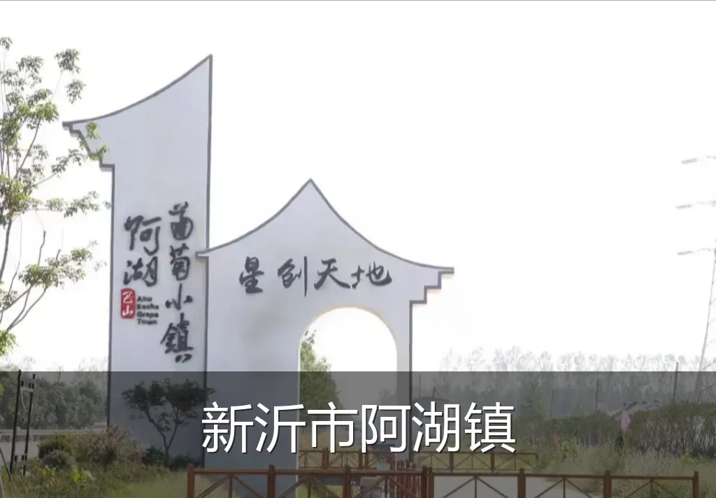 新沂市阿湖镇